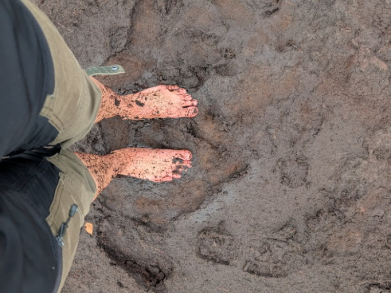 Torfmoospflanzung: Barfuß im November!